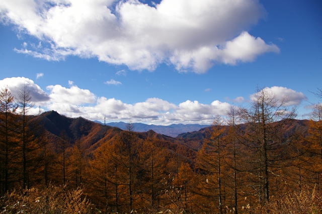 R000031.jpg