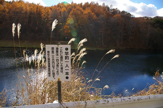 R000033.jpg