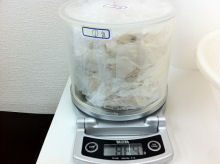 白米(H23年度群馬産)