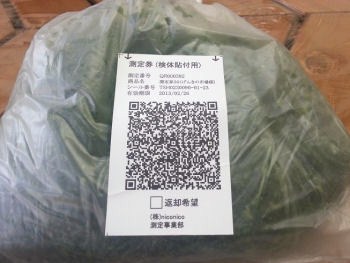QR000392_越谷市_矢部小松菜①