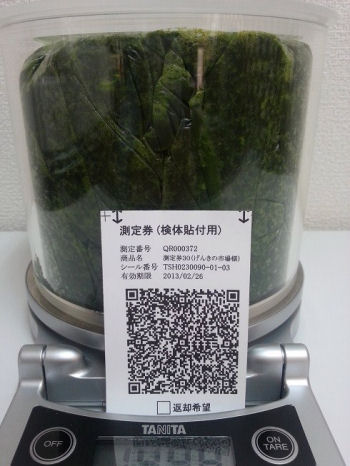 QR000372_吉川市_山崎さん_ほうれん草H