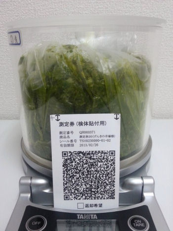 QR000371_吉川市_名倉さん_水菜