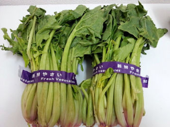 20130409_福島県産_ほうれん草①