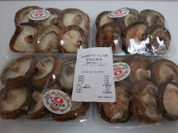 20130409_福島県産_生椎茸①