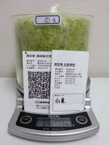 白菜(茨城県産)2