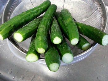 胡瓜下処理