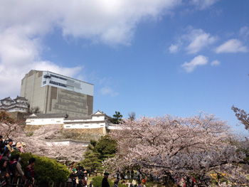 20130416-1.jpg