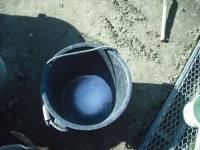 005_800.jpg