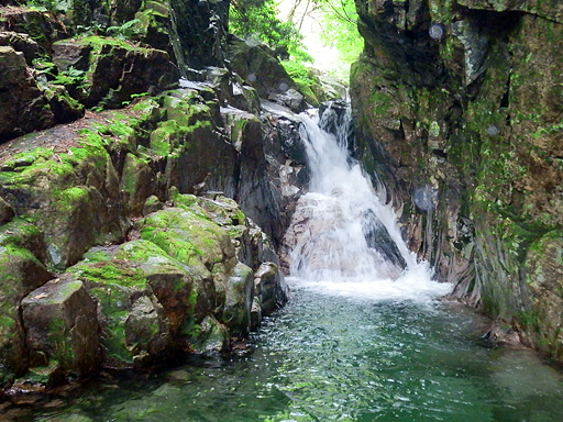 P7280676ss.jpg