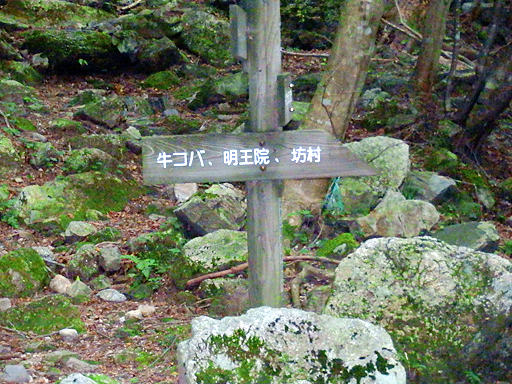 P7280683ss.jpg