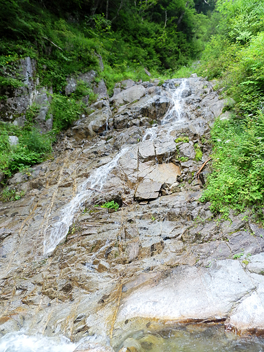 P8260746s.jpg
