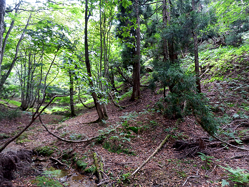P9020848s.jpg