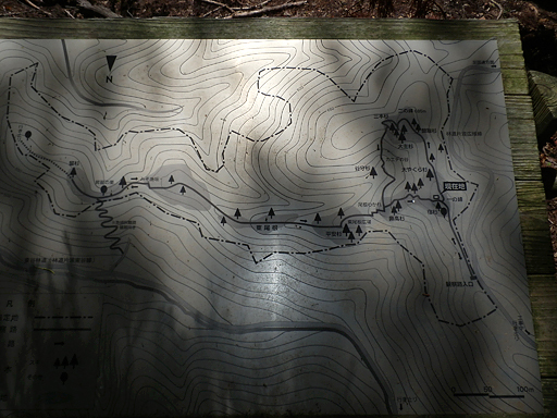 P9090884s.jpg