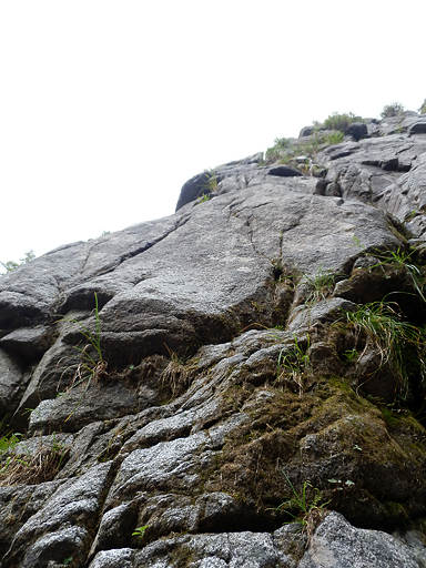 PA060929s.jpg