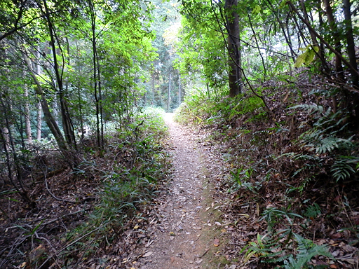 PB101121s.jpg
