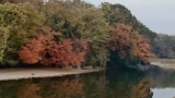 DSC_0025 (640x359)