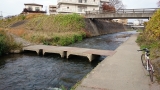 DSC_0032 (640x360)