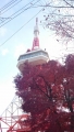 DSC_0038 (360x640)