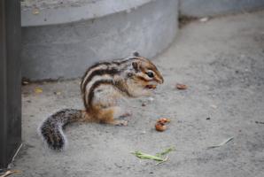 DSC_0124.jpg