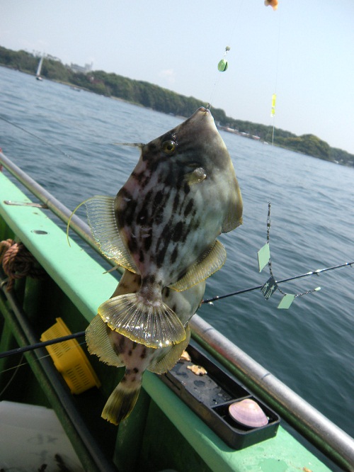 20120527-013.jpg