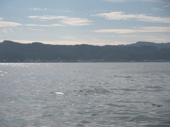 20121018-025.jpg