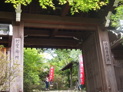 P6256530.jpg