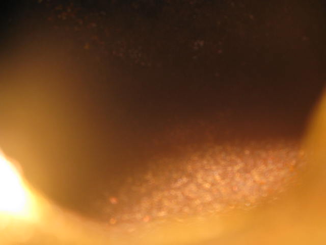 201401290IMG_6741 (5)