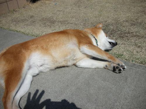 のんびり