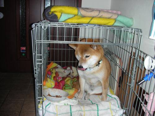 げぷっ
