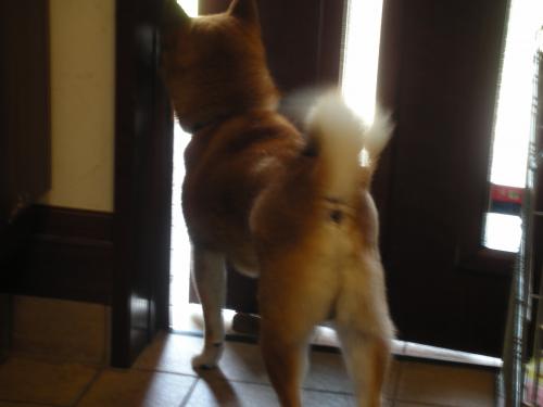 姉やんが帰って来た