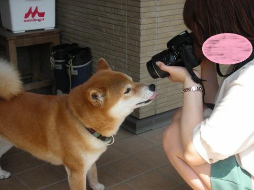 姉やんカメラ