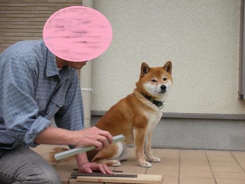 父さんにおつきあい