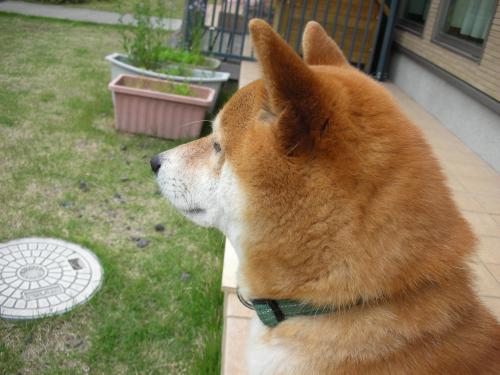 つまらない