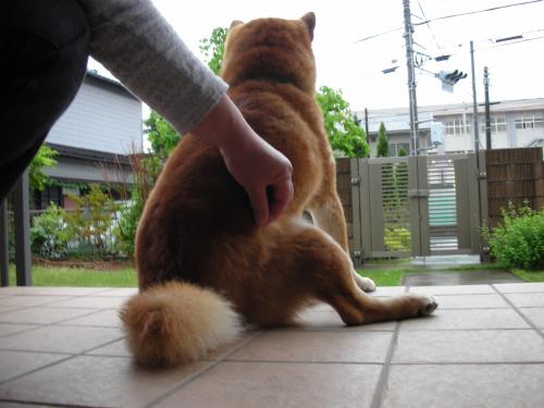 抜け毛