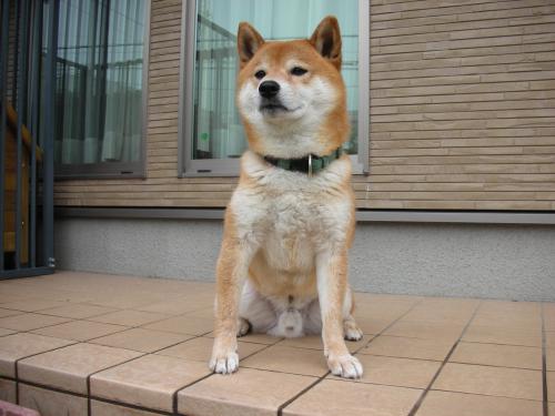 雨やまないかな