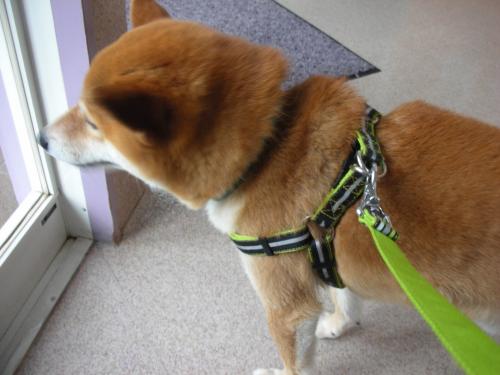 やれやれ