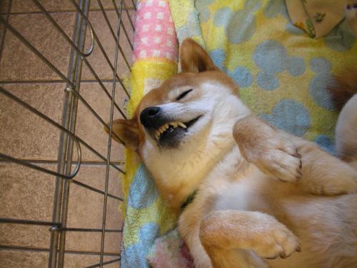 眠い