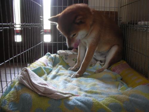 いないつもり