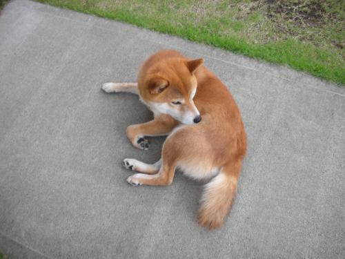 変化なし