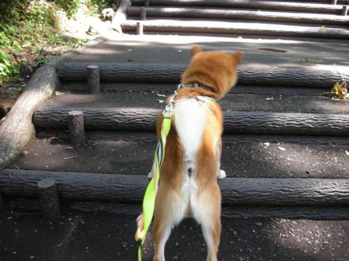 急いで急いで