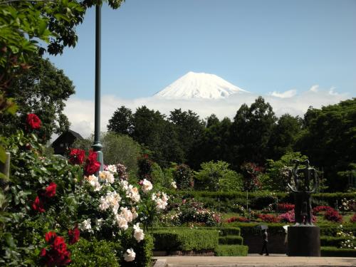 公園の富士2