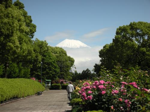 公園の富士4