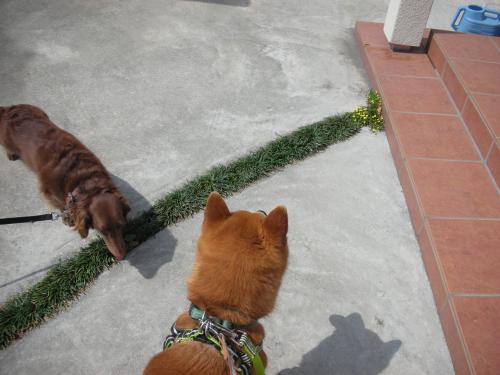 おじゃまします