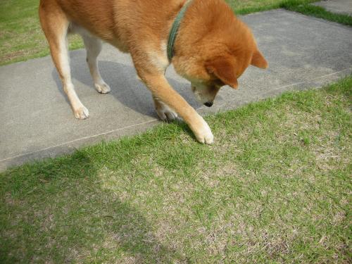 見つけた
