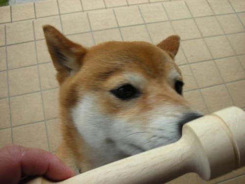 木のおもちゃ