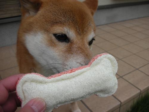 へちまのおもちゃ
