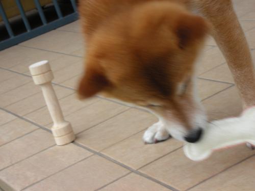 興味なし?