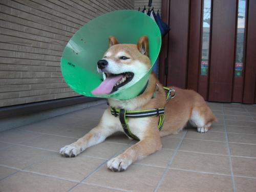 涼む