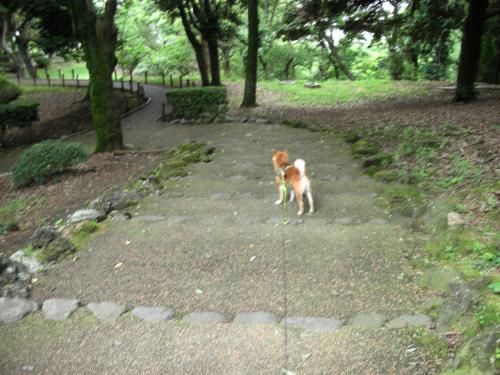 公園1