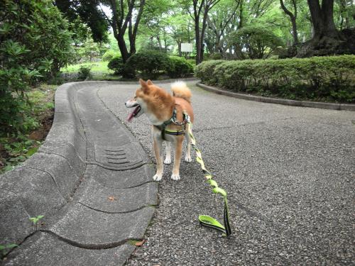 公園2